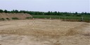 Udgravningsfelt